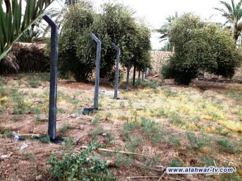 شاب يقتل عمه بسبب خلاف على أرض زراعية شمال الناصرية